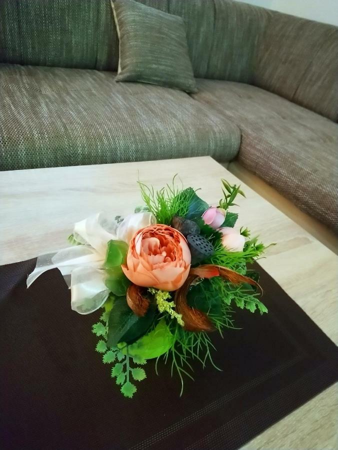 Apartman Danijela オトチャッツ エクステリア 写真