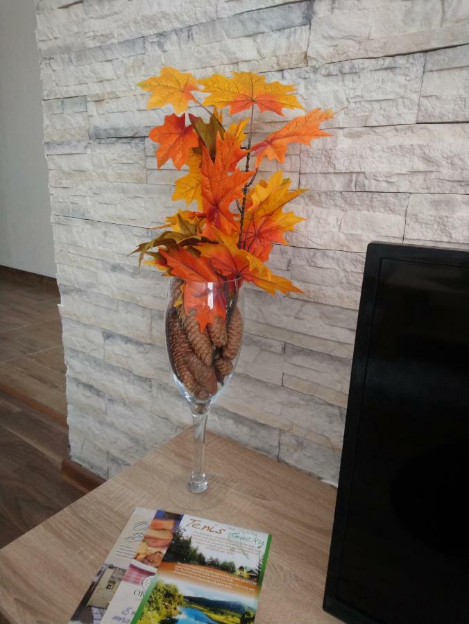 Apartman Danijela オトチャッツ エクステリア 写真
